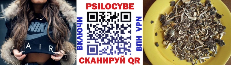 Купить где  Бирск  Псилоцибиновые грибы ЛСД 