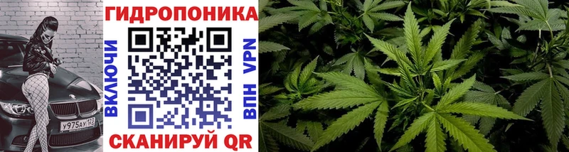 Каннабис семена  Купить закладки  Бирск 